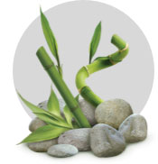 fragrance-bosque-de-bambu-MASTER_JOBS_BdB_flat