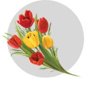 pr-fragrance-GOYA_Floral_flat